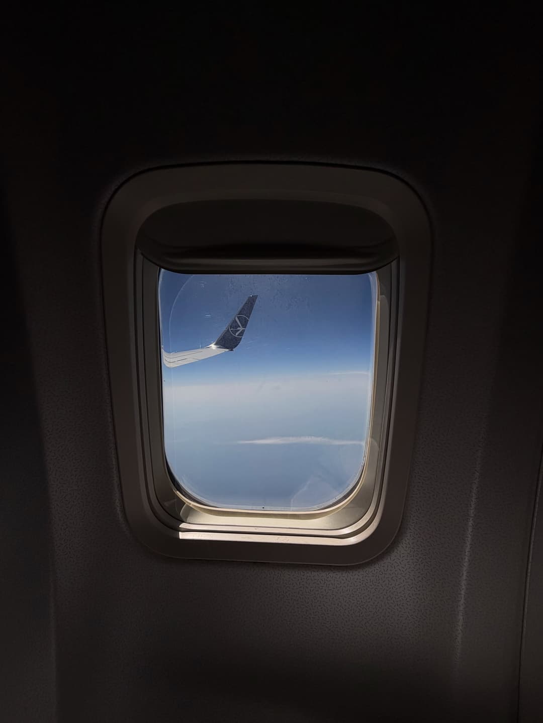 View from the aircraft window